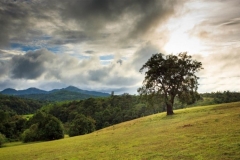 Sakleshpur-Scenery-1