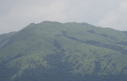 DSC00334