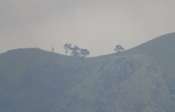 DSC00335