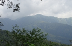 DSC00337