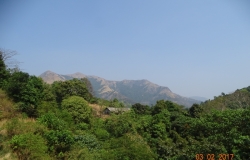 DSC00502