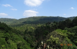 DSC01363