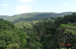 DSC01364
