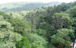 DSC01365