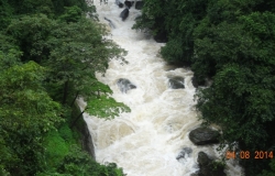 DSC01889
