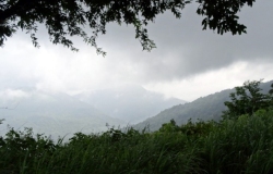 DSC01895