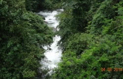 DSC01949
