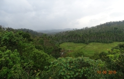 DSC08619