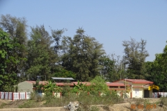 DSC00013