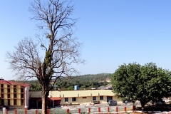 DSC00031