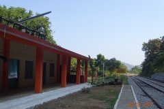 DSC00254