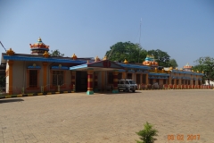 DSC00590