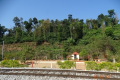 DSC00125