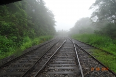 DSC00129
