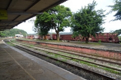 DSC00130
