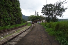 DSC00324