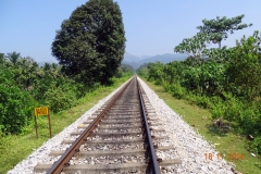 DSC01141